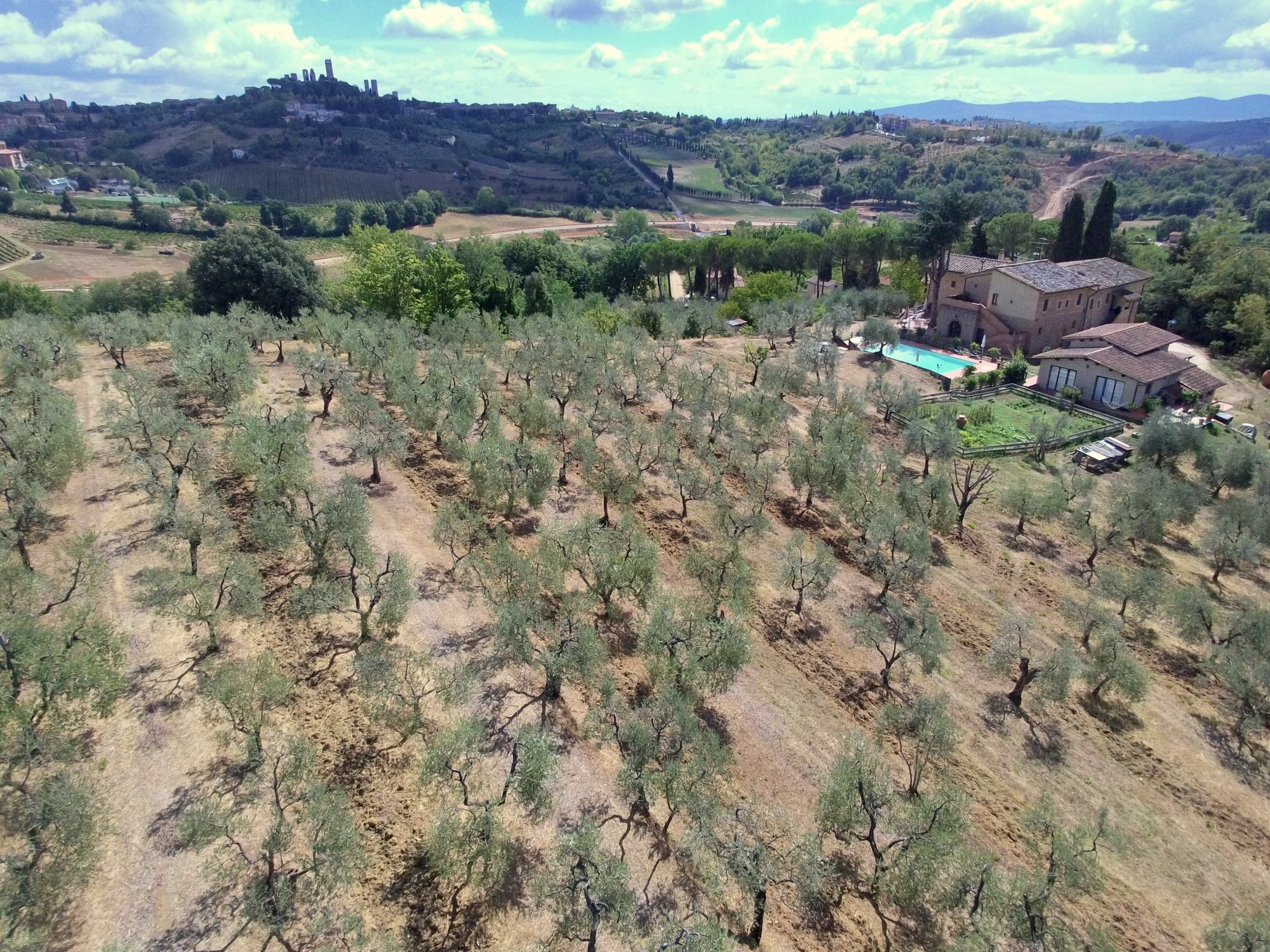 Agriturismo I Pini San Gimignano Exterior photo